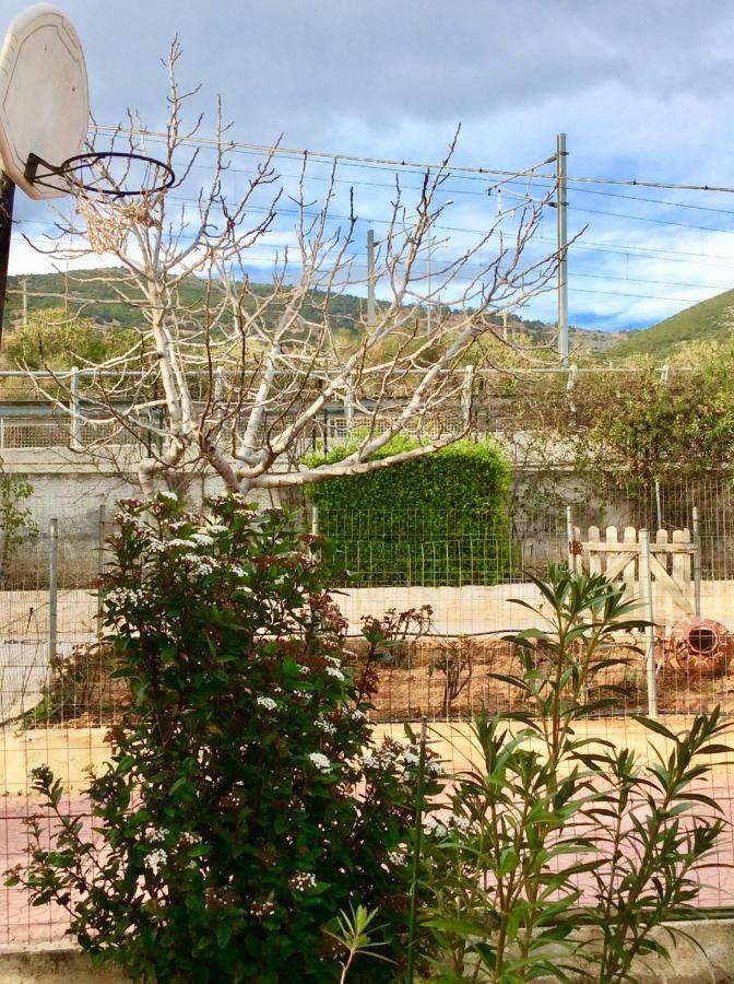 Sea View Countryside Home Near אתונה מראה חיצוני תמונה
