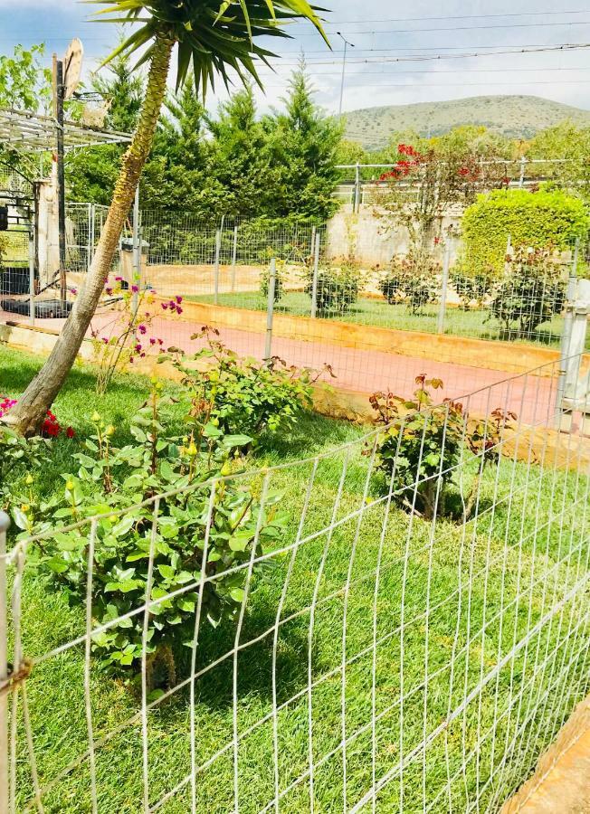 Sea View Countryside Home Near אתונה מראה חיצוני תמונה