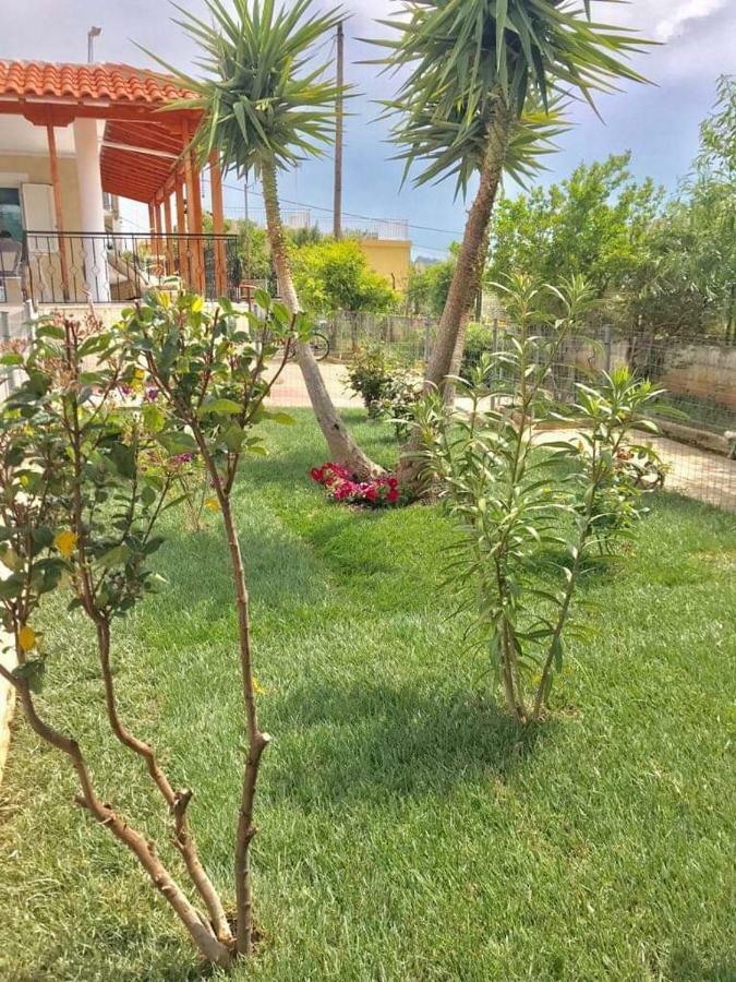 Sea View Countryside Home Near אתונה מראה חיצוני תמונה