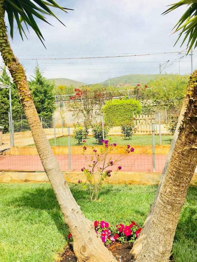 Sea View Countryside Home Near אתונה מראה חיצוני תמונה